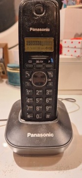 Panasonic TG1611PD