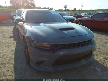 Dodge Charger VII 2019 Dodge Charger Scat pack rwd 6.4 Benzyna 485KM, zdjęcie 5