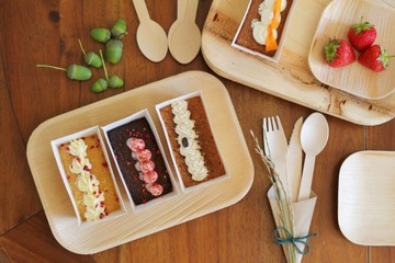 ДЕРЕВЯННЫЕ НОЖИ ЭКО одноразовый нож 100 шт.