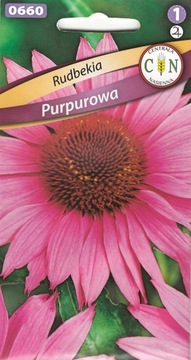 Rudbekia purpurowa bylina piękny duzy kwiat odporna mało wymagająca nasiona