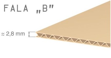 Arkusz tektury 3w 1200x800 3B/355g 10 sztuk
