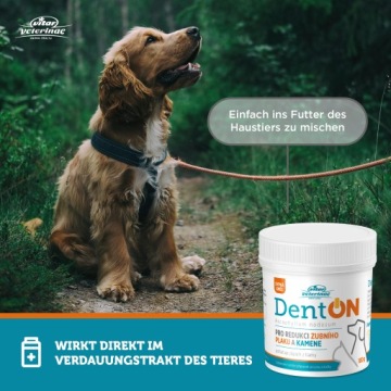 VITAR Veterinae ArtiVit Сироп 1000 мл + Дентон 100 г + Игрушка для собакКрасный мяч GRATIS
