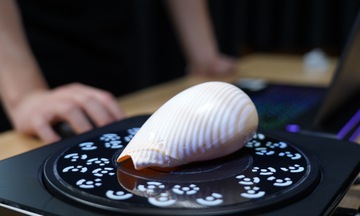 Сияющий 3D-сканер Einscan Pro 2X V2