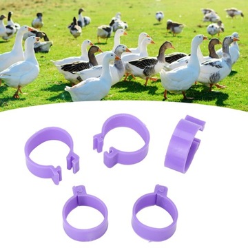 100 шт. Кольцо для ножки курицы и утки