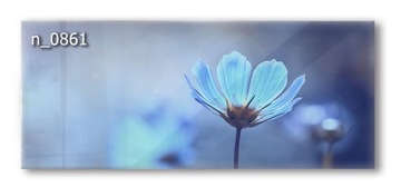 Panel szklany hartowany 120X50 NIEBIESKI KWIAT do kuchni
