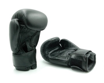 БОКСЕРСКИЕ ПЕРЧАТКИ НАТУРАЛЬНАЯ КОЖА EVOLUTION 10 УНЦИЙ