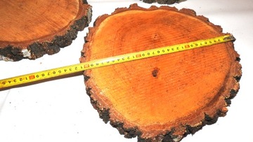 PLASTER DREWNA KRĄŻEK PIENIEK BRZOZA 25-30CM,1SZT