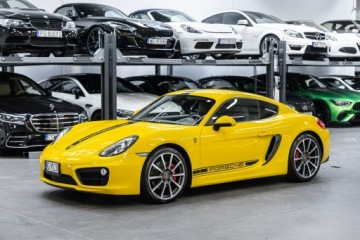 Porsche Cayman 981c Coupe 3.4 325KM 2015 Porsche Cayman S. 325 KM. Japonia, 54 tys.km., zdjęcie 20