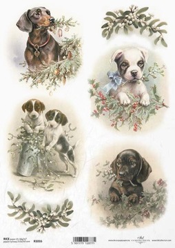 ITD Collection - Decoupage Papier RYŻOWY R1016 - PSY - A4