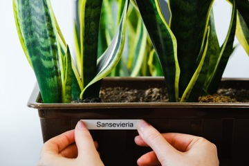 Портативный принтер LM 160 + 5 цветных кассет