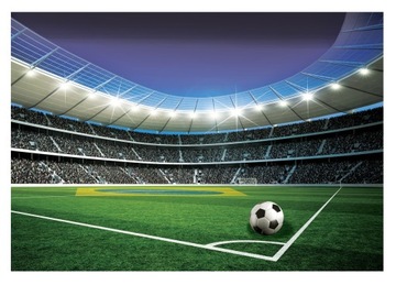 Fototapeta PIŁKA NOŻNA Młodzieżowa Stadion 368x254