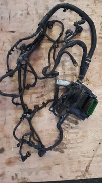 DEUTZ TTCD 7.8 Wiązka silnika