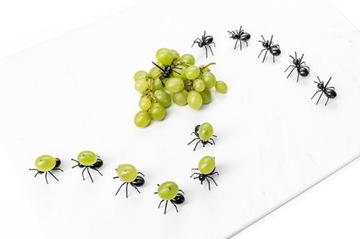 Вечеринка ANTS для закусок