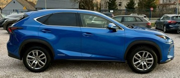 Lexus NX I 2020 Lexus NX 300h,Hybryda,4x4,Europa, zdjęcie 4