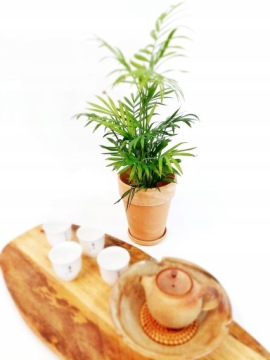 20 х 17 см Терракота -горшок с подставкой