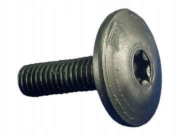 5x BMW VW SEAT CITROEN PEUGEOT ŚRUBA TORX M6 x 20 ZDERZAKA KAROSERII