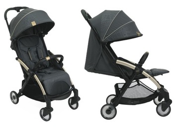 Chicco GOODY PLUS dziecięcy wózek spacerowy do 22kg spacerówka do 4 lat