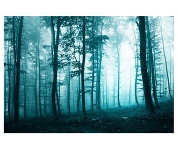 Fototapeta 368x254cm Turkusowy las we mgle