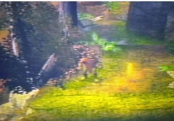 TMNT TEENAGE MUTANT NINJA TURTLES PS2 CZYTAJ OPIS !!!