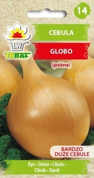 Cebula Globo 2g TORAF