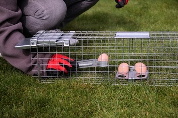 ЛОВУШКА ДЛЯ МУЖЧИН ЛОВУШКИ НОРКИ КРЫСЫ клетка-ловушка C14 ЗАЩЕЛКА