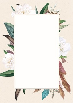 Dyplom Camellia, Galeria Papieru, A-4 170g 25 arkuszy