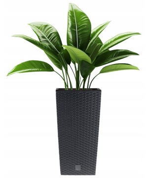 НАБОР ЦВЕТОЧНЫХ ГОРШКОВ, 3 шт. ЭЛЕГАНТНЫЙ РОТАГОВЫЙ САД POWER + АНТРАЦИТОВЫЕ ВСТАВКИ ХИТ!