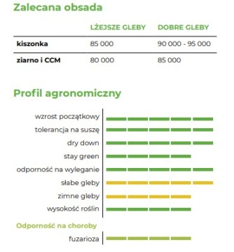 Семена кукурузы ФАО тональность 220-230 50 тыс. нас.