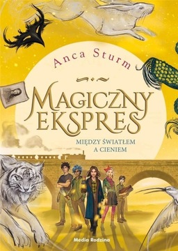 MAGICZNY EKSPRES CZ. 2 MIĘDZY ŚWIATŁEM A CIENIEM