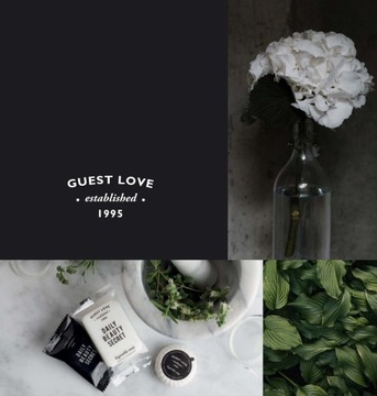 Гель для душа GUEST LOVE 480мл с помпой