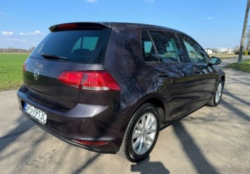 Volkswagen Golf VII Hatchback 3d 1.6 TDI BlueMotion 110KM 2015 Volkswagen Golf Bezwypadkowy, nowe sprzeglo, LOUNGE 1.6 Diesel 110KM, zdjęcie 4
