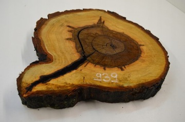 Большой выбор ломтиков каштана для смол 40х36гр5см