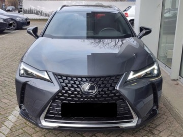 Lexus UX 2025 Od ręki - Business 2.0 Hybrid Dynamic Force 199KM | Podgrzewane fotele!, zdjęcie 1