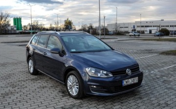 Volkswagen Golf VII Variant 1.6 TDI CR DPF BlueMotion Technology 105KM 2014 Volkswagen Golf Salon PL 2014 r. 1.6 Diesel 105KM, zdjęcie 5
