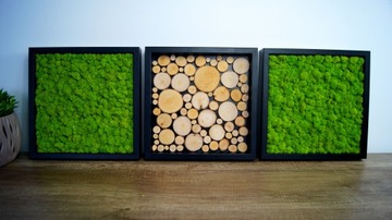 Картина в трёх рамах, мох+дерево, 30х30 см.
