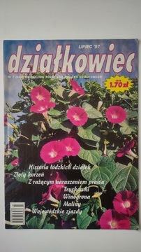 Дзялковец 7 1997 г.