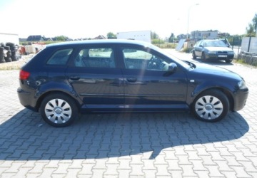 Audi A3 8P Hatchback 3d 1.9 TDI 105KM 2006 Audi A3 Sportback Audi A3 II (8P) sportbag 1.9 Diesel 105KM, zdjęcie 6