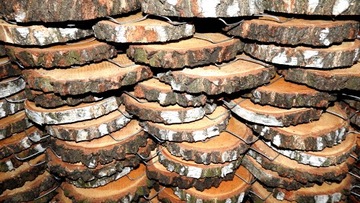 ДЕРЕВЯННЫЙ SLICE, ДИСК ДЛЯ БЕРЕЗОВОЙ ШТАМПЫ, 25-30 СМ, 1 ШТ.