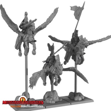 Pegasus Knights - x1