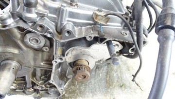 Yamaha XTZ 750 Super Tenere Kartery Blok Dół Silnika