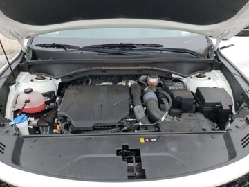 Kia Sorento IV 2023 Kia Sorento SX 2023 2.5l 2.5 Benzyna 281KM, zdjęcie 6