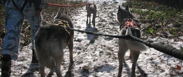 HIFICA RUN TREK 2.2 PP 40 Веревочный амортизированный поводок для бега по каникроссу