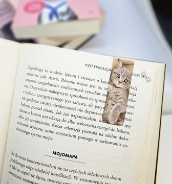 Магнитная закладка с рисунком кота, набор из 3 шт.