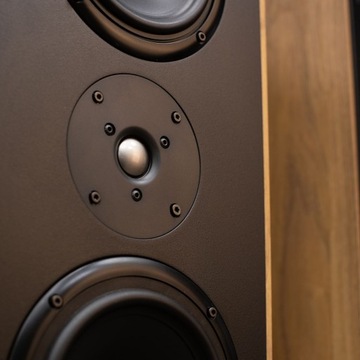 Tonsil Maestro Classic Колонны из натурального дуба/пара