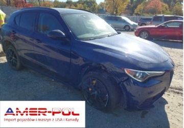 Alfa Romeo Stelvio SUV Facelifting 2.0 Turbo 280KM 2021 Alfa Romeo Stelvio 2021 ALFA ROMEO STELVIO TI AWD 2.0 Benzyna 280KM