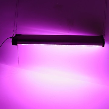 Światło LED o pełnym spektrum działania