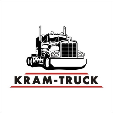 СТЕГАНЫЕ КОВРИКИ НАКЛАДКИ SCANIA R с 2017 г. + ЛОГОТИП