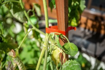 САДОВЫЙ НАБОР УСТРОЙСТВО ДЛЯ ПОДВЯЗКИ РАСТЕНИЙ 25М + СКОБЫ