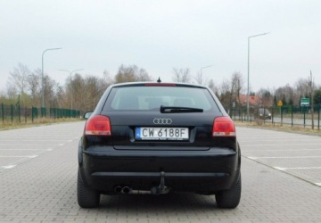 Audi A3 8P Hatchback 3d 2.0 TDI PD 170KM 2007 Audi A3 3-drzwiowe 2.0TDi Quattro Podgrzewane Fotele 2.0 Diesel 170KM, zdjęcie 25