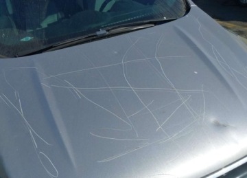 Ford Escape III 2017 Ford Escape SE, od ubezpieczalni 1.5 Benzyna 179KM, zdjęcie 1